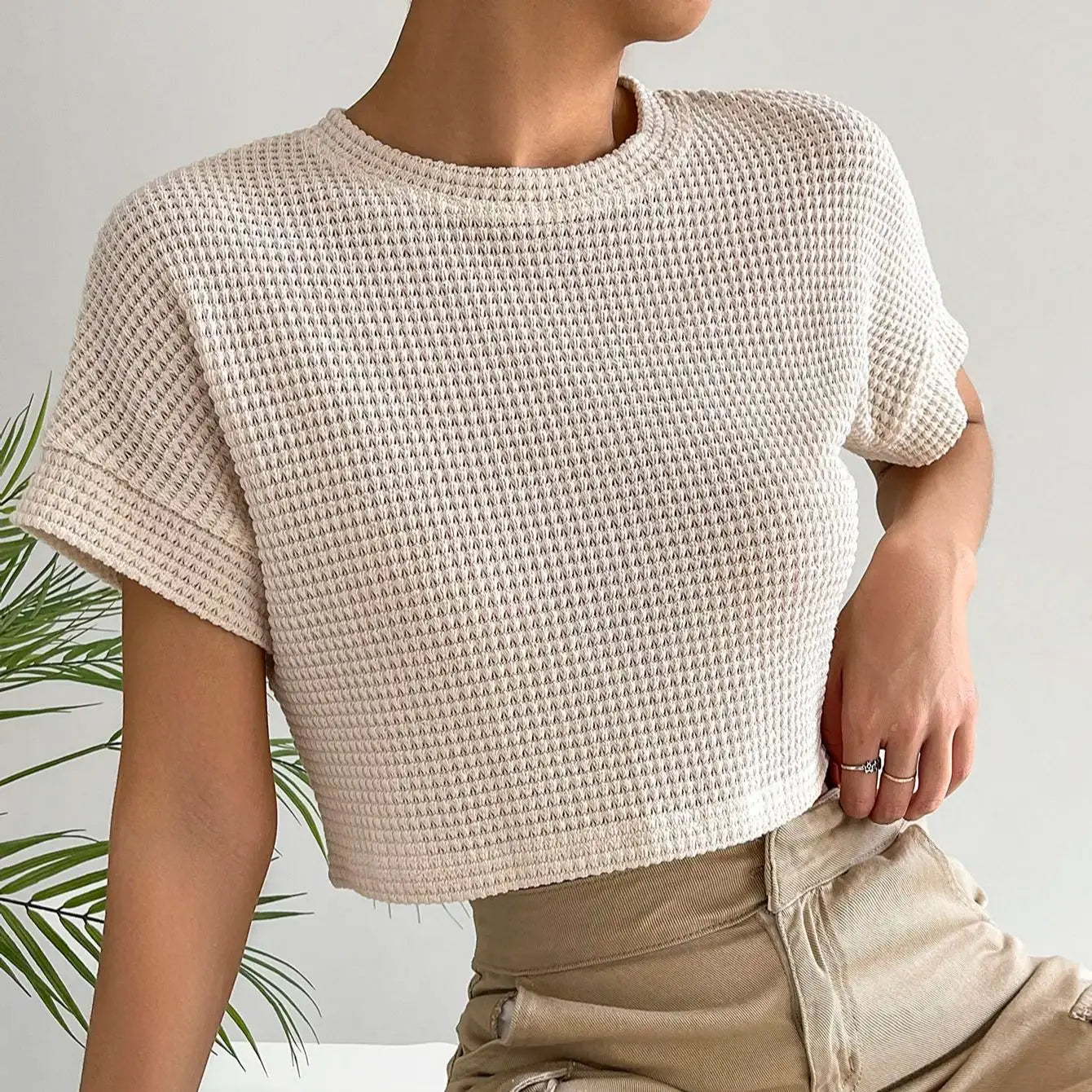 https://cdn.shopify.com/s/files/1/0462/8493/1232/files/S732ba1aa44d6488898d3aff5f442eaa1e.webp?v=1740346674